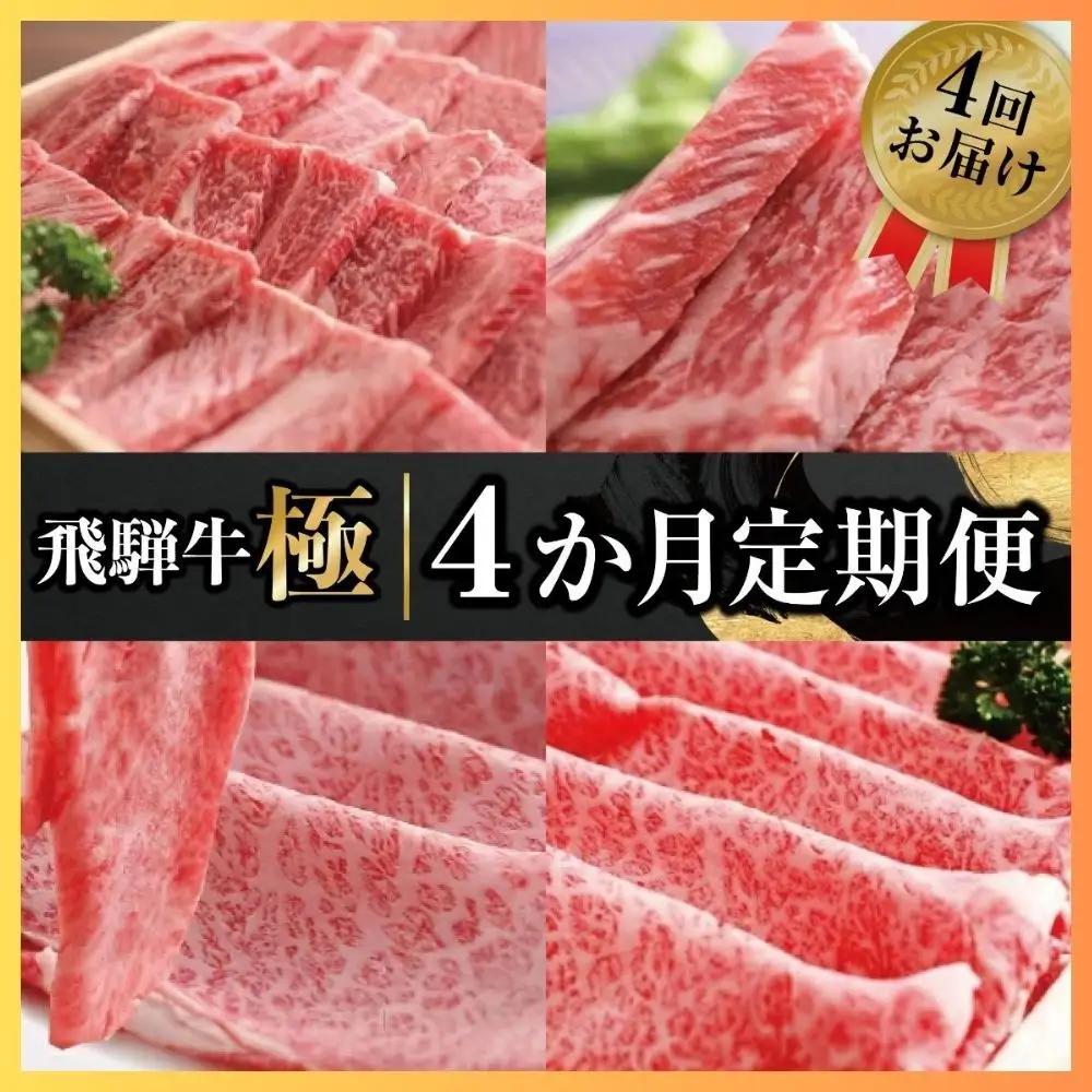 定期便 飛騨牛 "極" 全4回 肉 定期便