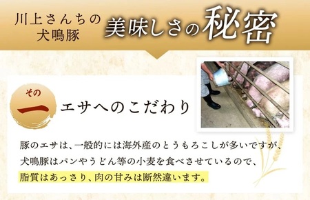 【泉佐野ブランド豚】犬鳴ポーク 3種 食べ比べセット（切り落とし／うで／ロース）×6回 定期便 6か月【毎月配送コース】