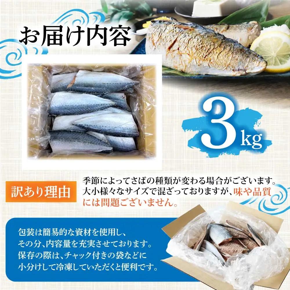 訳あり 塩サバ 3kg 約18枚 さば 鯖【R01426】