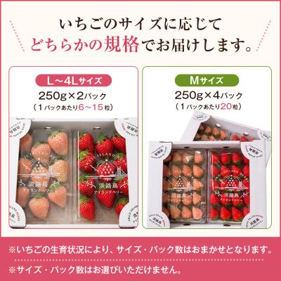ふるさと納税 淡路市 淡路島アイランドベリー 紅白いちご 2〜4P入【2月発送受付・お届け日指定不可】　as14044 |  | 01