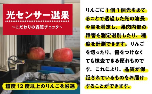 【12月27日締切】りんご サンふじ 5kg （12〜25玉） 訳あり 「 いいづな光選りんご 」 光センサー選果 2024年 令和6年 収穫分 《 ふじ リンゴ 林檎 ふじ 長野 長野県産 傷あり 