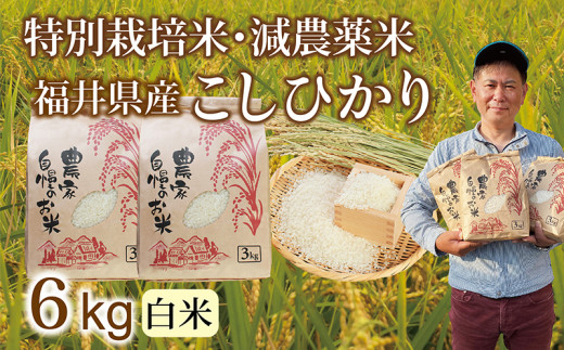 ＼新米先行予約／10月 減農薬米 こしひかり  6kg(3kg×2袋)／令和8年 福井県産 （白米）2026年10月発送 人気品種 少量サイズ便利
