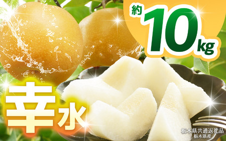 【栃木県共通返礼品】【2026年先行予約】幸水 約10kg  | 梨 なし ナシ 新品種 先行予約 大粒 新鮮 甘い 美味しい 果物 くだもの フルーツ ふるーつ 共通返礼品 フルーツ デザート 栃木県 那珂川町