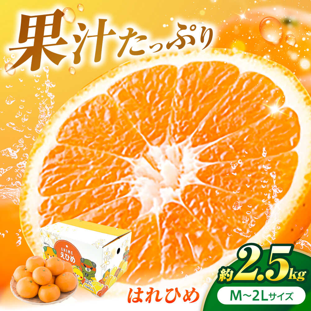 【ふるさと納税】はれひめ 約2.5kg M-2Lサイズ【12月上旬から翌年1月上旬まで順次発送】 / フルーツ 果物 蜜柑 ミカン オレンジ 甘い 先行予約 約 3kg 愛媛 旬の果物 旬 詰め合わせ フルーツギフト 果汁 人気 おすすめ / 愛媛県砥部町/株式会社フジ・アグリフーズ[BJBI004]