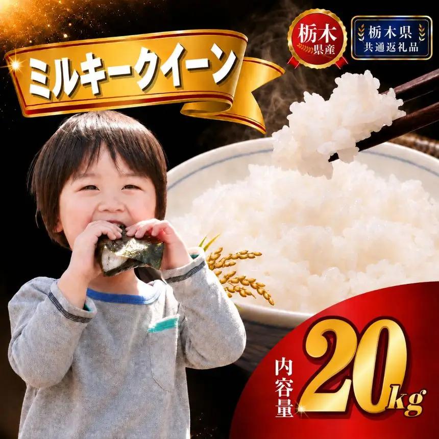 栃木県産 ミルキークイーン 20kg（5kg×4袋）【栃木県共通返礼品 栃木県産】AB | 栃木県 下野市