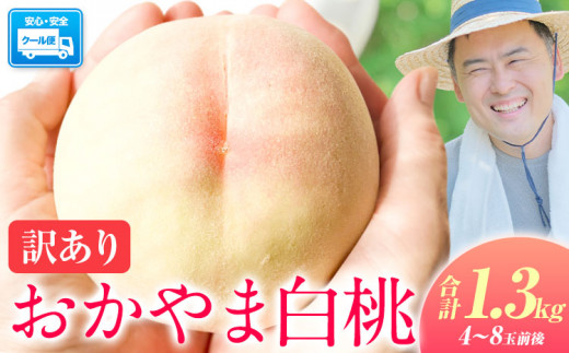 桃 ～とろける甘さ 味に訳なし!!～ 訳あり 岡山の桃 約1.3kg 4~8玉前後 岡山　県産《2025年6月下旬-9月上旬頃出荷》岡山県 浅口市 白桃 黄桃 はなよめ 日川白鳳 白鳳 清水白桃 おかやま夢白桃 川中島白桃 白皇 黄金桃 果物 フルーツ 桃 2025 先行