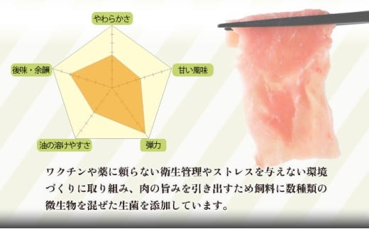 KU217 宮崎県産豚食べ比べセット1.2kg(バラ300g・ロース300g・こま切れ300g×2P)【スーパーほりぐち】