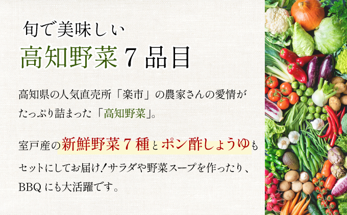 野菜 7種類 詰め合わせセット(特製ポン酢付) 新鮮 旬 春 おまかせ 5000円 故郷納税 送料無料