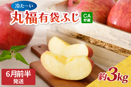 【2026年6月前半発送】りんご 丸福 有袋ふじ 約3kg CA貯蔵 青森県 五所川原市