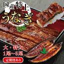 【ふるさと納税】国産特上うなぎのかば焼き 約200g～250g×1～5尾 数量選択可能 定期便 送料無料 福井県越前市 蒲焼き 鰻 ウナギ 土用の丑の日（18209）