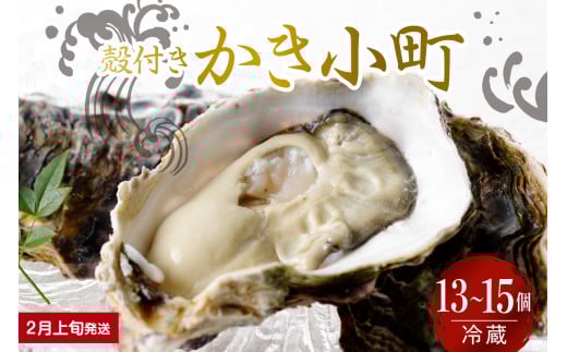 【2026年2月上旬発送】宮原水産 かき小町 殻付き 13～15個 ku005-012-02-1-25