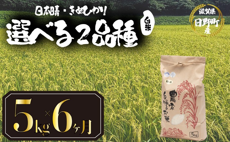 
            【 令和7年産 新米 5kg 定期便 6ヶ月 】 選べる 品種 日本晴 きぬひかり 米 白米 2025年産 6回 お届け にほんばれ キヌヒカリ 国産 滋賀県 日野町 農家直送 お米 精米 おこめ こめ 産地直送 ふるさと納税
          