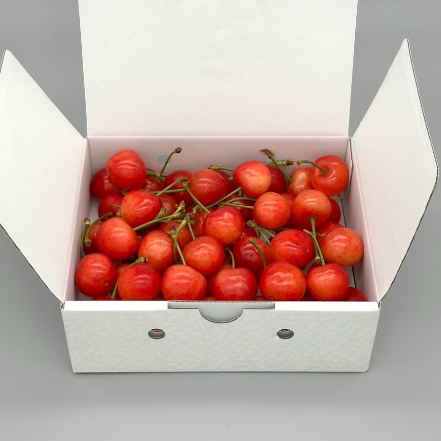 ＜岩原果樹園＞北杜市産 さくらんぼ 3L～4L500g バラ箱詰め