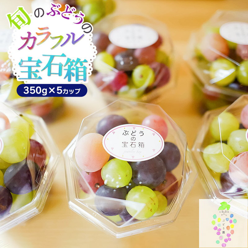 【ふるさと納税】【令和7年産先行予約】お楽しみ！旬のぶどうのカラフル宝石箱 350g×5カップ【発送時期：9月中旬〜】| 山形県 鶴岡市 返礼品 楽天ふるさと 納税 フルーツ 果物 くだもの ブドウ 葡萄 詰め合わせ お取り寄せ 自宅用 家庭用 国産 果実 ふるーつ