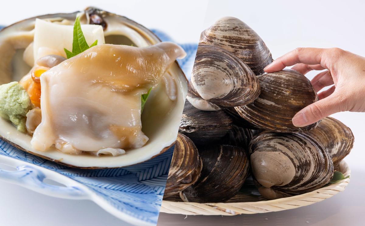 ＜2023年12月から順次発送＞【 定期便 3回 】 北海道産 海の