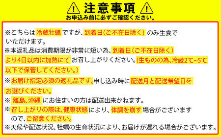 【2月配送】【先行予約】※指定日必須※ 天然 有明海産 住之江牡蠣 殻付き 冷蔵牡蠣  5㎏ C230-009-02 ハクエイ水産