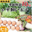 【ふるさと納税】 玉子 10個 旬 野菜 セット ( 10 から 12 種 ) 無農薬 化学肥料 不使用 冷蔵 国産 鶏卵 鶏 平飼い 卵 たまご にわとり とりのさと 農園 セット 人気 おすすめ 愛知県 南知多町【配送不可地域：離島】