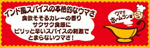 亀田製菓  亀田のカレーせん 15枚×12袋 2A03009
