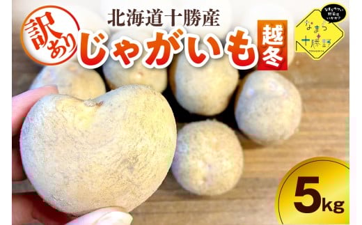 【2月上旬～4月下旬頃配送】【訳あり】北海道十勝芽室町 農家応援じゃがいも(越冬)5㎏　北海こがね（変形）me001-051c-3