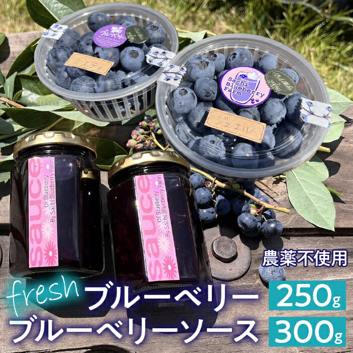 【ふるさと納税】 【2025年発送先行予約】南アルプス市産　【農薬不使用】フレッシュブルーベリー250g+当ファーム自家製フレッシュソース2瓶SET ふるさと納税 ブルーベリー 水耕栽培 大粒 果物 くだもの ブルーベリーソース おすすめ 山梨県 南アルプス市 ALPBL003