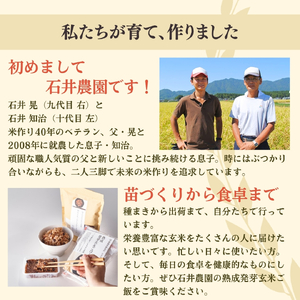パックご飯 熟成3日 発芽玄米 12個(3pac×4セット) コシヒカリ 酵素 | パックご飯 新潟県