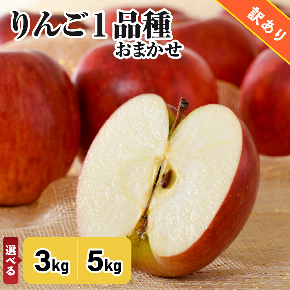 【ふるさと納税】★レビュー高評価★【 訳あり 】 りんご 1品種 おまかせ 3kg または 5kg ( 配送時期が選べる ) 青森/ 不揃い 規格外 送料無料 くだもの 果物 フルーツ 林檎 旬 青森県 五所川原 リンゴ ringo