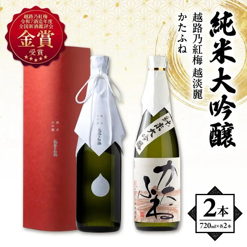 【金賞受賞】越路乃紅梅 日本酒 越淡麗 かたふね 純米大吟醸 日本酒