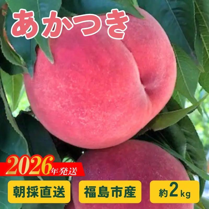 No.2875 朝採り直送！福島の桃「あかつき」約2kg 【2026年発送】