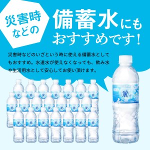 ナチュラルミネラルウォーター　麗しずく 軟水 （500ml×24本×2ケース）　～ペットボトル 水 pH値7.3 名水百選 日本三大清流 長良川の地下天然水 ～ S8-12