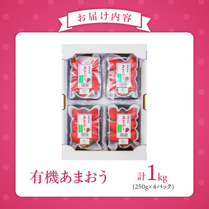 有機あまおう250g×4パック _ 有機 あまおう 250g 4パック 計 1000g オーガニック いちご ストロベリー 特別栽培 認証 アフター保証付き 安心 安全 やさしい甘み 香り ジューシー