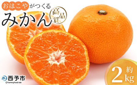 ＜おはこやがつくる 高品質みかん 約2kg（S～Lサイズ）＞ 果物 くだもの フルーツ 柑橘 みかん ミカン 蜜柑 まろやか 絶妙 特産品 西宇和 おはこや 愛媛県 西予市 【常温】『2026年11月中旬～12月中旬迄に順次出荷予定』MOK0018