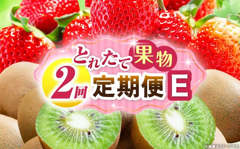 
            とれたて果物 2回定期便E 果物 フルーツ 果物定期便 フルーツ定期便 定期便 いちご キウイ濃厚 旬の果物 定期 人気 おすすめ 贈答 贈り物 青果物 糖度 香川県 _mk165-t055
          