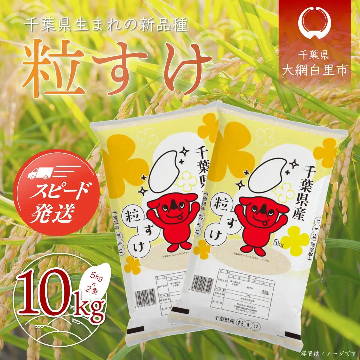 【最短2～7営業日出荷】令和7年産 千葉県産「粒すけ」10kg（5kg×2袋）/  粒すけ 令和7年産粒すけ 千葉県産粒すけ A006