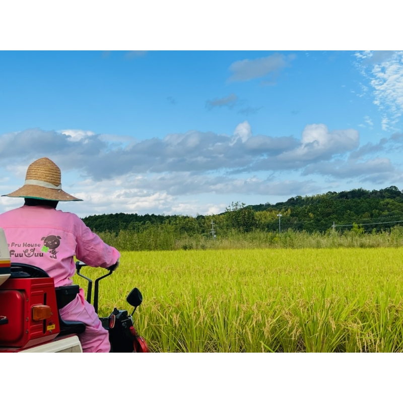 農業姉妹がこだわって栽培！こだわりのお米 白米5kg 1年定期便【024A-012】