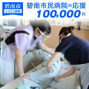 【ふるさと納税】碧南市民病院の応援（返礼品なし）100,000円〜地域医療を支える医療従事者にエールを〜 H028-038