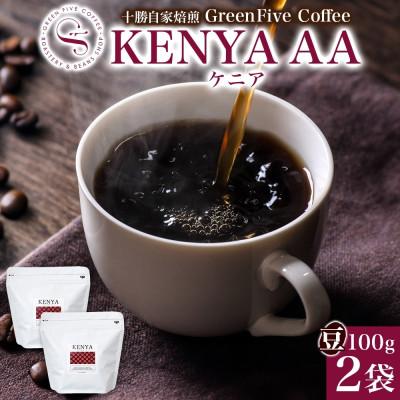 ふるさと納税 帯広市 コーヒー豆 ケニア 100g×2袋 鮮度を高めたスペシャルティコーヒー 北海道帯広市