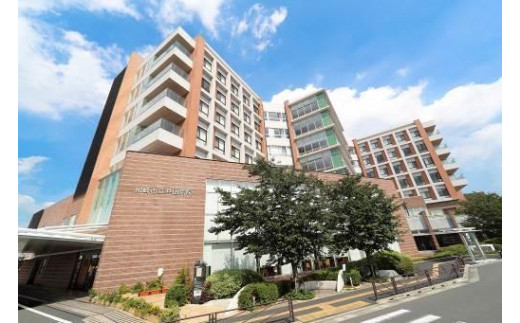 
            川崎市立井田病院　人間ドック　日帰り＋PET-CT　男性　受診チケット
          