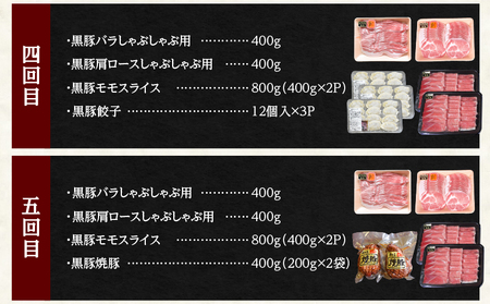 2030-1 黒豚 バラエティ ふるさと 定期A【 全5回 】 KN038-T03 豚肉 定期便 しゃぶしゃぶ トンカツ 鍋 焼き肉 ギョーザ 焼き豚 チャーシュー 叉焼 お楽しみ 和田養豚 ふるさと