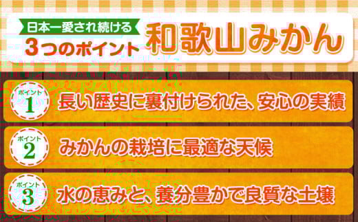 【訳あり/サイズ不選別】 和歌山みかん 約10kg 和歌山県産 《2025年11月中旬-1月中旬頃出荷》たっぷり ご家庭用 2L〜2S 産地直送 みかん 旬 蜜柑 ミカン 柑橘 果物 フルーツ 和歌山