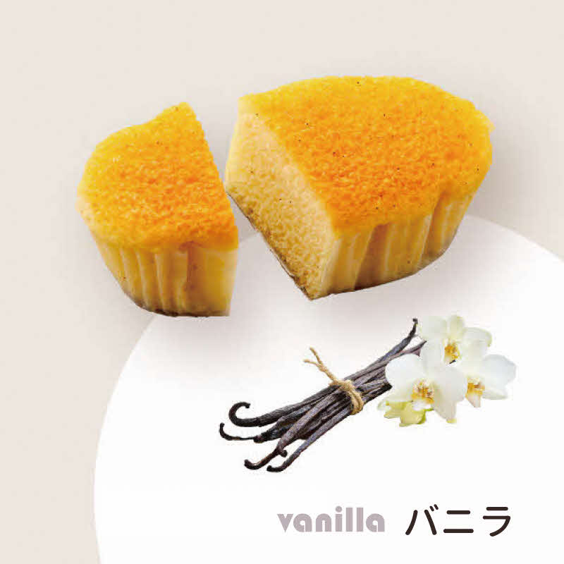 shin ヴァプールスフレ 10個入り[ シンケールス 菓子 洋菓子 焼菓子 ギフト プレゼント 贈り物 詰め合せ 食べ比べ ]