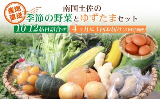 【4ヶ月に1回お届け 全3回コース】南国土佐の季節野菜と卵（ゆずたま）の詰め合わせセット | 定期便 セット 詰め合わせ 旬 やさい たまご 卵 柚子 ゆず ゆずたま 農家直送 人気 高知県 南国市