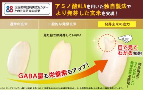 発芽玄米の底力(ドライ米タイプ) 1kg×1袋 生活習慣病 ケア 高血圧 中性脂肪 コレステロール 対策 健康 羽生 埼玉