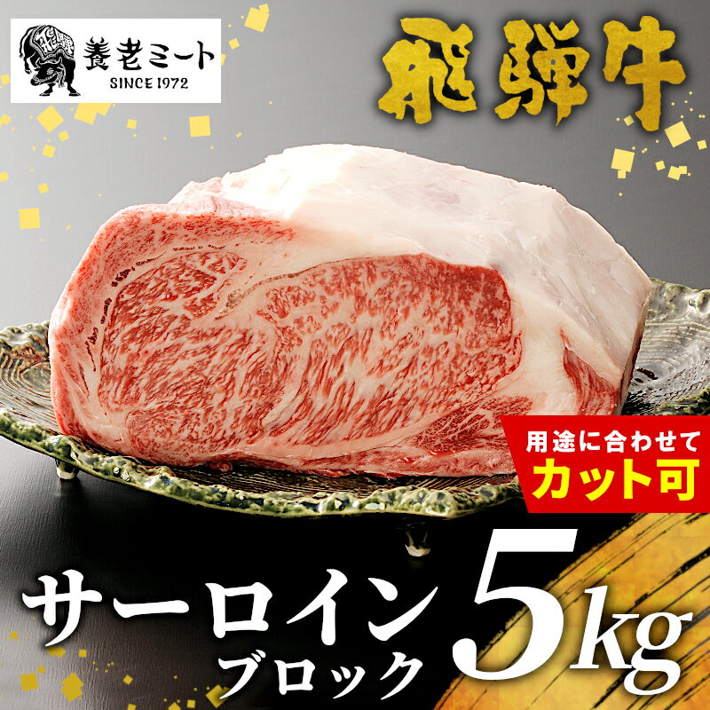 【ふるさと納税】お好きなカット可能！飛騨牛 サーロインブロック 5kg 牛肉 和牛 肉 塊肉 サーロイン ステーキ すき焼き しゃぶしゃぶ 赤身 肉 牛 牛肉 鉄板焼き お祝い 贈答 ギフト 贈り物 ふるさと納税 東白川村 岐阜 贅沢 霜降り 柔らかい ジューシー 養老ミート 400000円