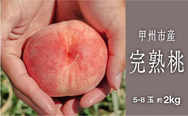 
            甲州市完熟桃 『滴る、潤沢な桃の果汁』 約2kg（5～8玉）【2025年発送】（SHP）B15-454【白鳳系 桃 もも モモ 令和7年発送 期間限定 山梨県産 甲州市 フルーツ 果物】
          