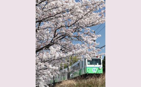 日本に3社4路線しかないナローゲージ（特殊狭軌）四日市あすなろう鉄道 貸切列車の運行［2026年11月8日（日）］
