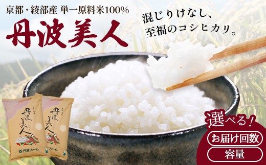 
                  《選べるお届け回数》【定期便】京都府産 コシヒカリ「丹波美人」白米5kg/10kg 令和7年度産 （ 3回 / 6回 ）【 お米 米 白米 精米 こしひかり 国産 選べる 定期便 毎月発送 京都 綾部 】
                