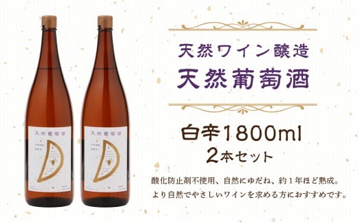 天然ワイン醸造　酸化防止剤無添加　天然葡萄酒　白辛　1800ml　2本セット 【 ワイン 天然葡萄酒 自然発酵 白ワイン セット ぶどう デラウェア  】