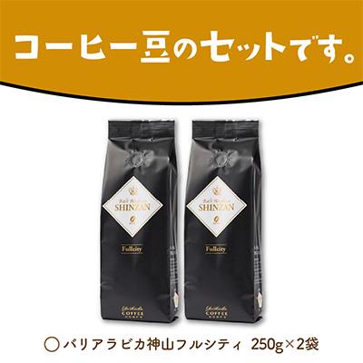 ふるさと納税 泉南市 ●【吉田珈琲本舗謹製】バリアラビカ神山フルシティ  250g×2袋/豆 |  | 03
