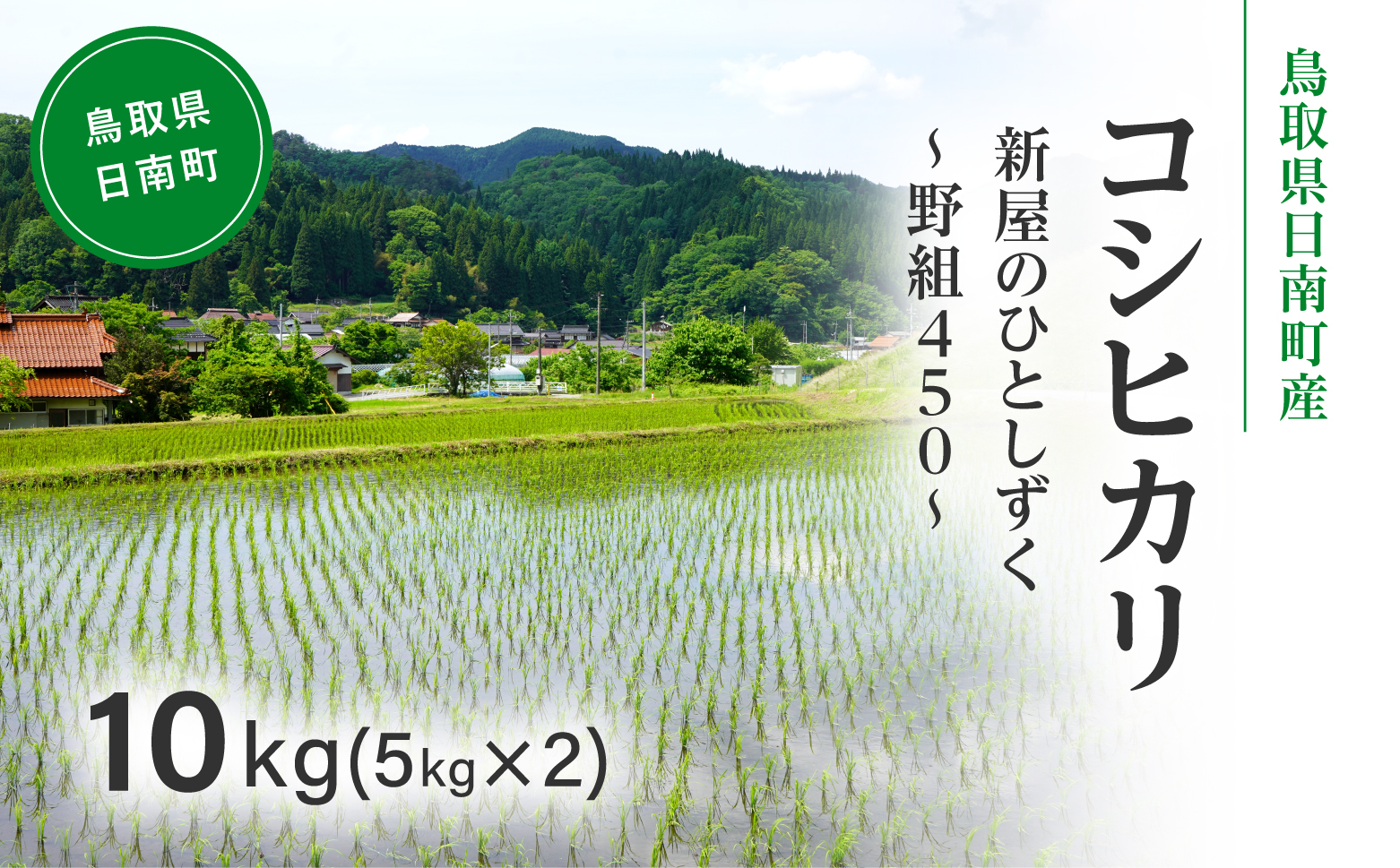 令和8年産 新米 先行予約 鳥取県日南町産コシヒカリ 10kg(5kg×2) 新屋のひとしずく ～野組450～ 米 お米 おこめ 精米 こしひかり