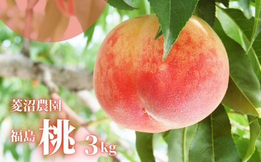 
            No.2406【先行予約】福島 桃　約3kg【2025年発送】
          